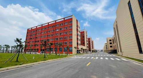 Latest company news about ¿Son peligrosas las piedras para la gente?
